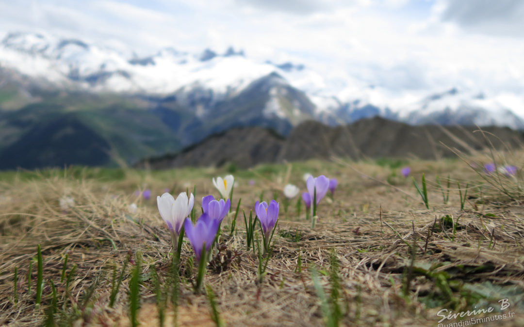 Mont Charvin (2207m)